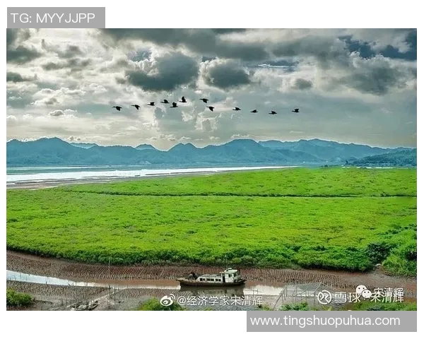 东方日报即时报道：多部门联手推动绿色发展，力促经济与环境和谐共生