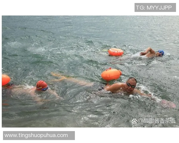 如何在短时间内掌握游泳技巧并提升游泳水平的有效方法